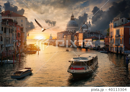 Seagull over Grand Canal Seagull over Grand Canal 40113304