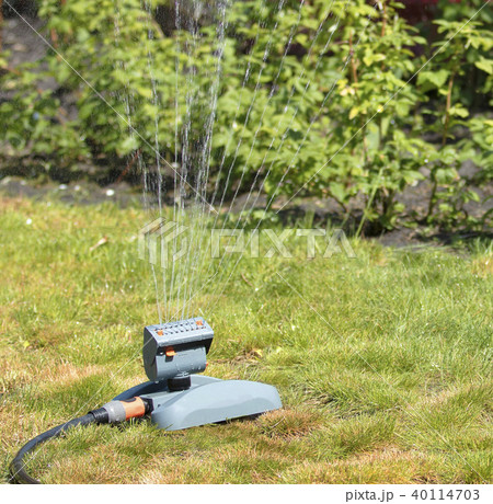 Oscillating irrigating the garden and lawn garden Oscillating irrigating the garden and lawn garden 40114703
