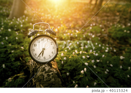 Alarm clock in the sunrise over a forest 40115324