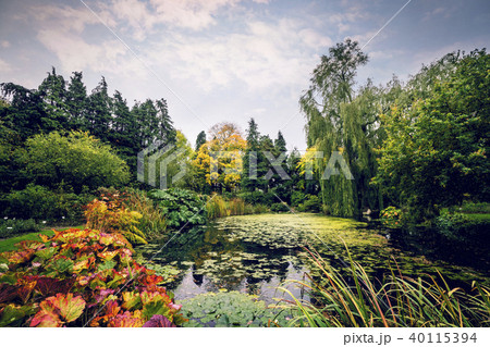 Garden pond with various plants in beautiful Garden pond with various plants in beautiful 40115394
