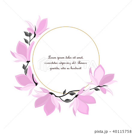 Vector magnolia flowers Vector magnolia flowers 40115758