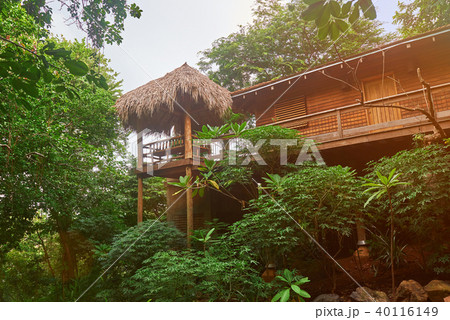 Wooden house on tree 40116149