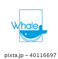 Whale logo 40116697