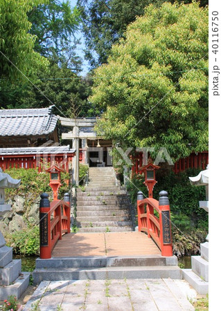 大森宮(なまず神社)の神橋 大森宮(なまず神社)の神橋 40116750