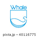 Whale logo 40116775