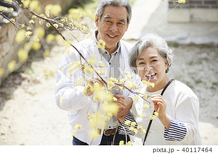 60代 笑顔 微笑 40117464