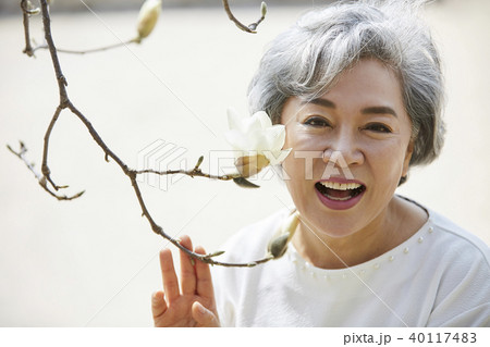 高齢者 老人 マグノリア 40117483