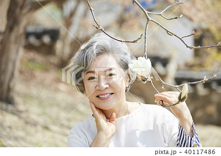 木の枝 高齢者 老人 40117486