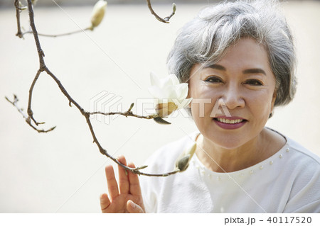 花 高齢者 老人 40117520