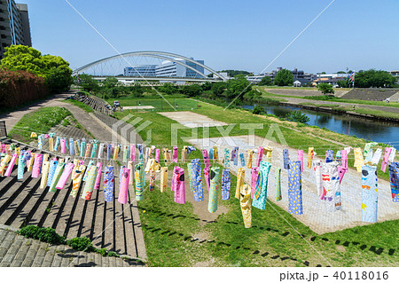 小さい鯉のぼり　鴨居の鶴見川　鴨池大橋 40118016