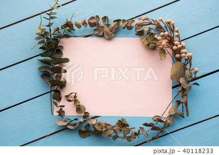 Herbarium situating on colorful paper 40118233