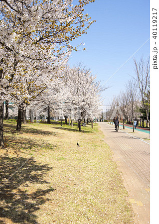 ギャラリー遊園地 京畿道 キョンギド 40119217