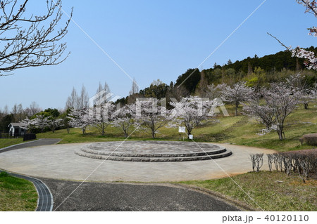 矢那川ダム公園 40120110
