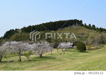 矢那川ダム公園 40120112