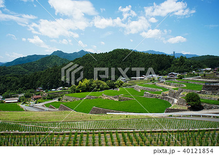深野のだんだん田 深野のだんだん田 40121854