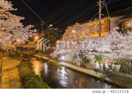 玉湯の夜桜 玉湯の夜桜 40122318