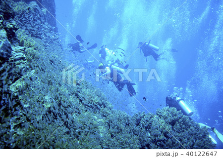 scuba driving scuba driving 40122647