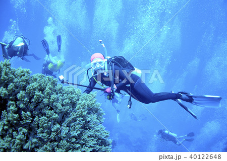 scuba driving scuba driving 40122648
