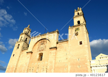 夕方のメリダのカテドラル（メキシコ） 40123617