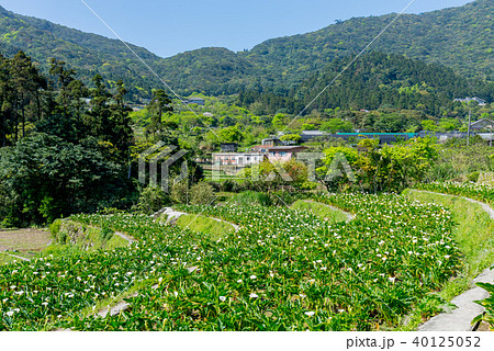 台北 台北市 タイペイ 40125052