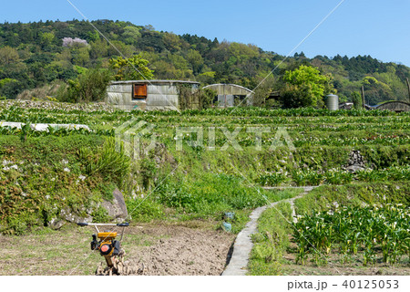 台北 台北市 タイペイ 40125053