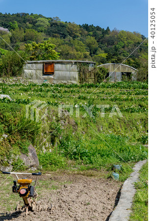 台北 台北市 タイペイ 40125054