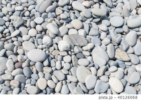 鳴り石の浜（鳥取県） 40126068