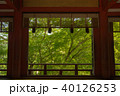 新緑の談山神社 40126253