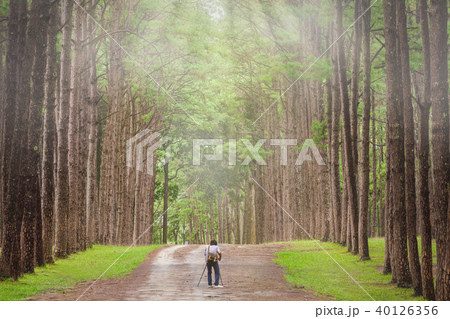 Photographer takes photos with a camera 40126356