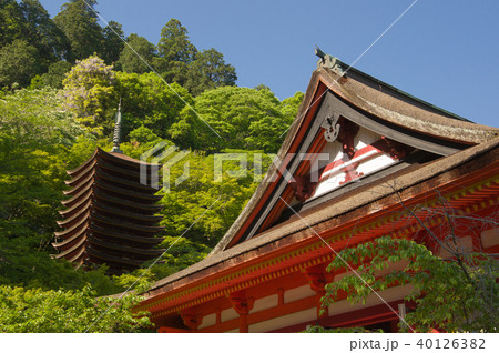 新緑の談山神社 新緑の談山神社 40126382