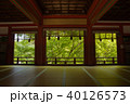 新緑の談山神社 40126573