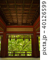 新緑の談山神社 40126599