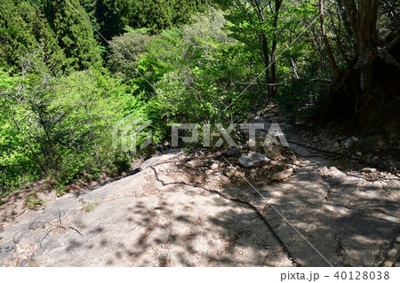 伊豆ヶ岳 伊豆ヶ岳 40128038