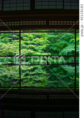 新緑の瑠璃光院 40128183