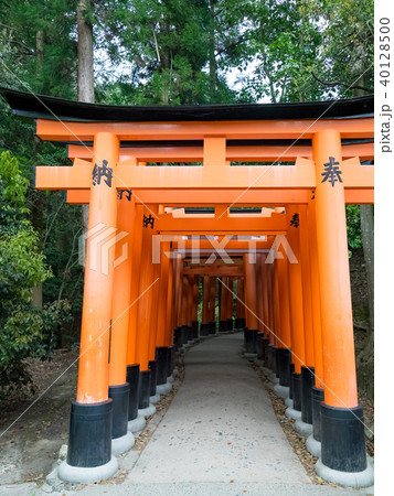 日本 ジャパン 日本国 40128500