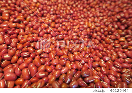 小豆 あずき 小豆 あずき 40129444