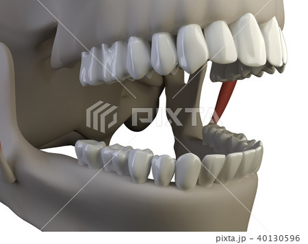 isolated teeth 40130596