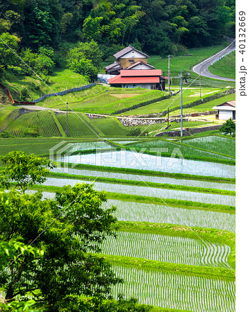 田植え 40132669