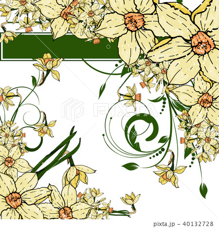 hand drawing Narcissus flowers background. hand drawing Narcissus flowers background. 40132728