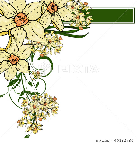 hand drawing Narcissus flowers background. hand drawing Narcissus flowers background. 40132730