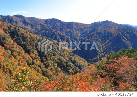 秋の白毛門1150m付近から見た北東方面の眺望 秋の白毛門1150m付近から見た北東方面の眺望 40132754