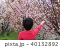 さくらと男の子 40132892