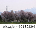 桜並木 40132894