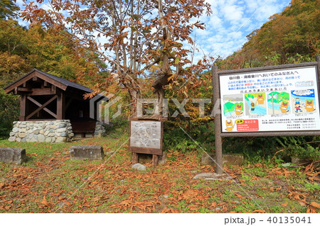 秋の谷川岳 湯桧曽川沿い(新道)の休憩広場 秋の谷川岳 湯桧曽川沿い(新道)の休憩広場 40135041