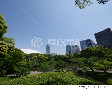 小石川後楽園(小廬山から) 小石川後楽園(小廬山から) 40135433