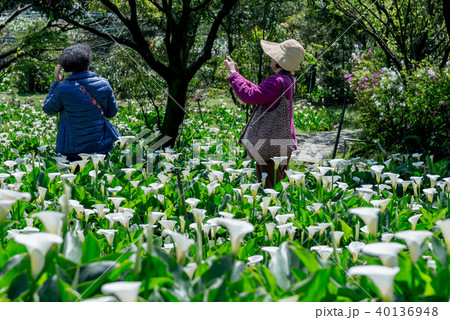 台北 台北市 タイペイ 40136948