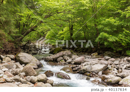 栃木県塩谷町　尚仁沢湧水（5月） 40137634