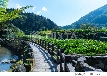 台北 台北市 タイペイ 40137700