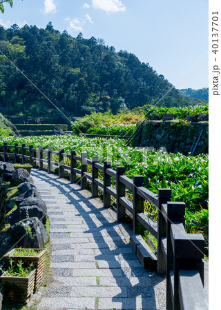 台北 台北市 タイペイ 40137701