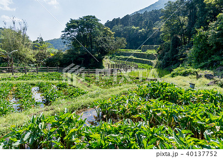 台北 台北市 タイペイ 40137752